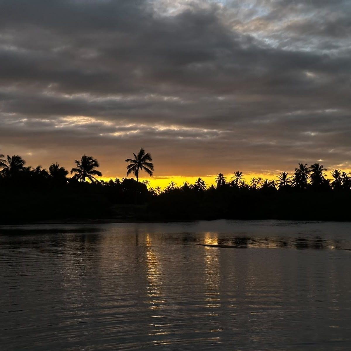 Descida do rio pelo manguezal